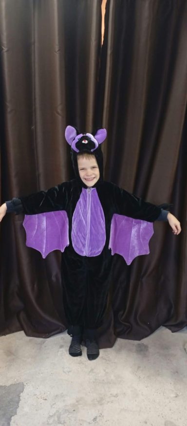 Chauve souris